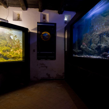 Museo Vivo del Mare